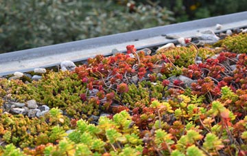the cost of Lowbands green roof installation