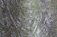 Lowbands fibreglass roof work